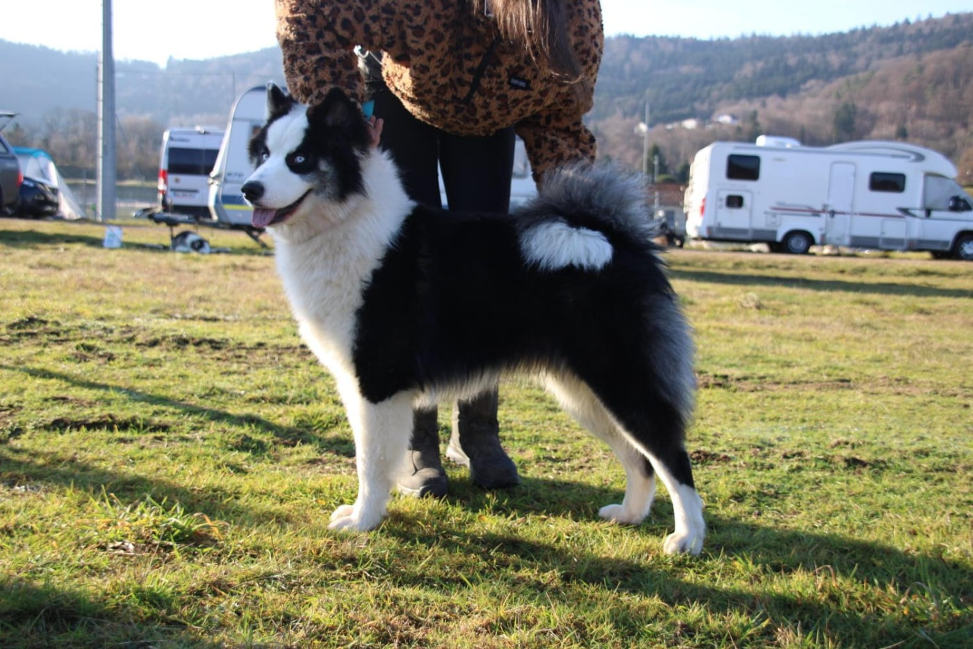 Polar Souls Awe Navajo Reborn Promises