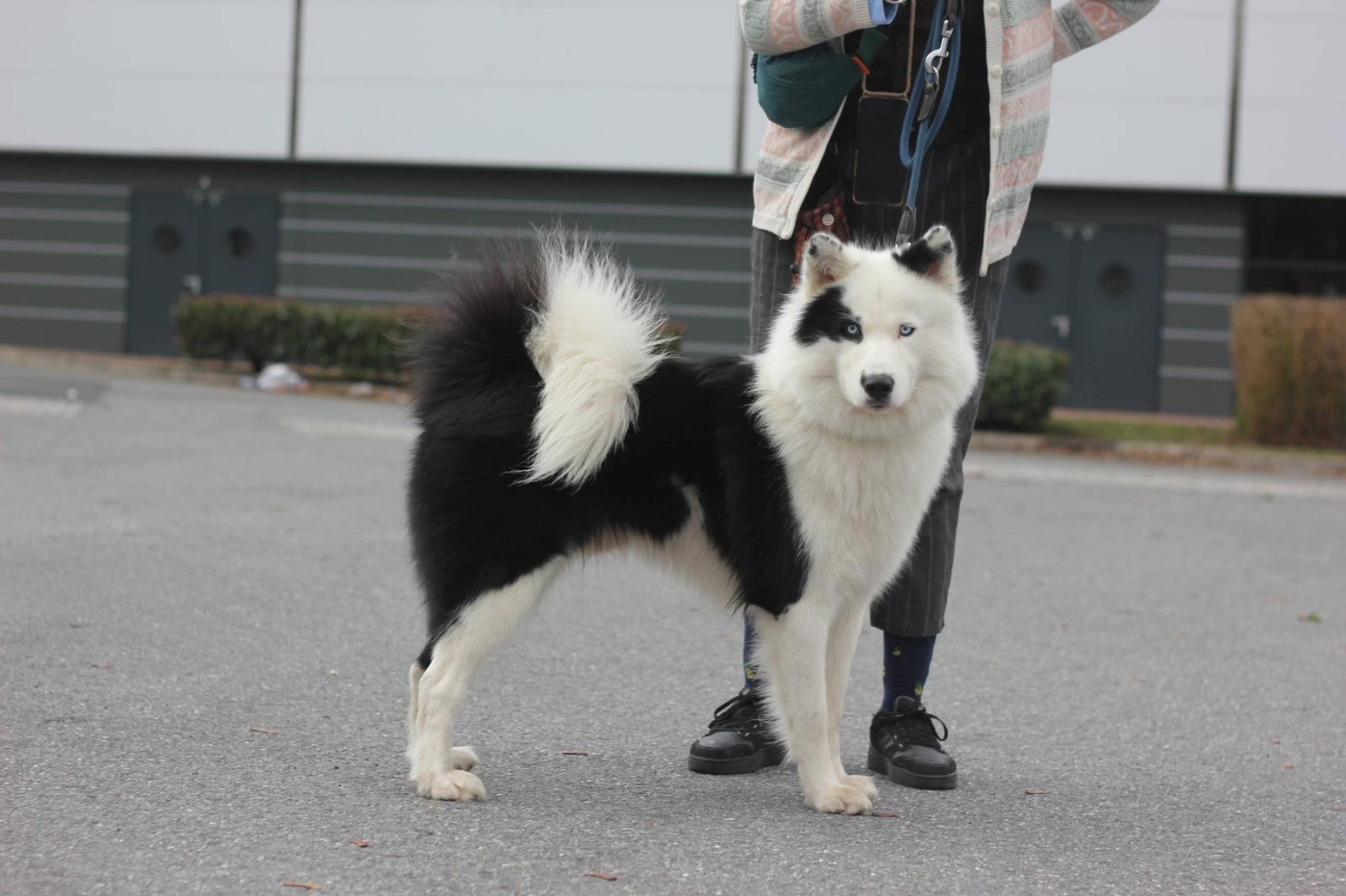 PORTEE PRINTEMPS 2026