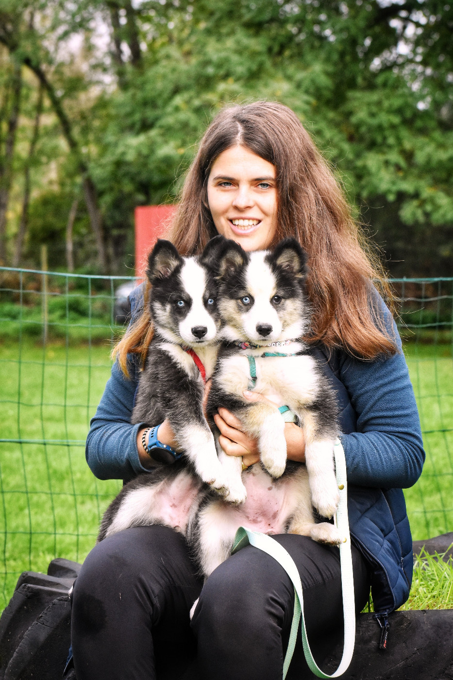 Polar Souls - Chiots disponibles - Laika de iakoutie