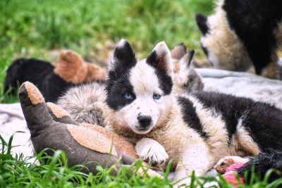 A dark knight in Gotham city